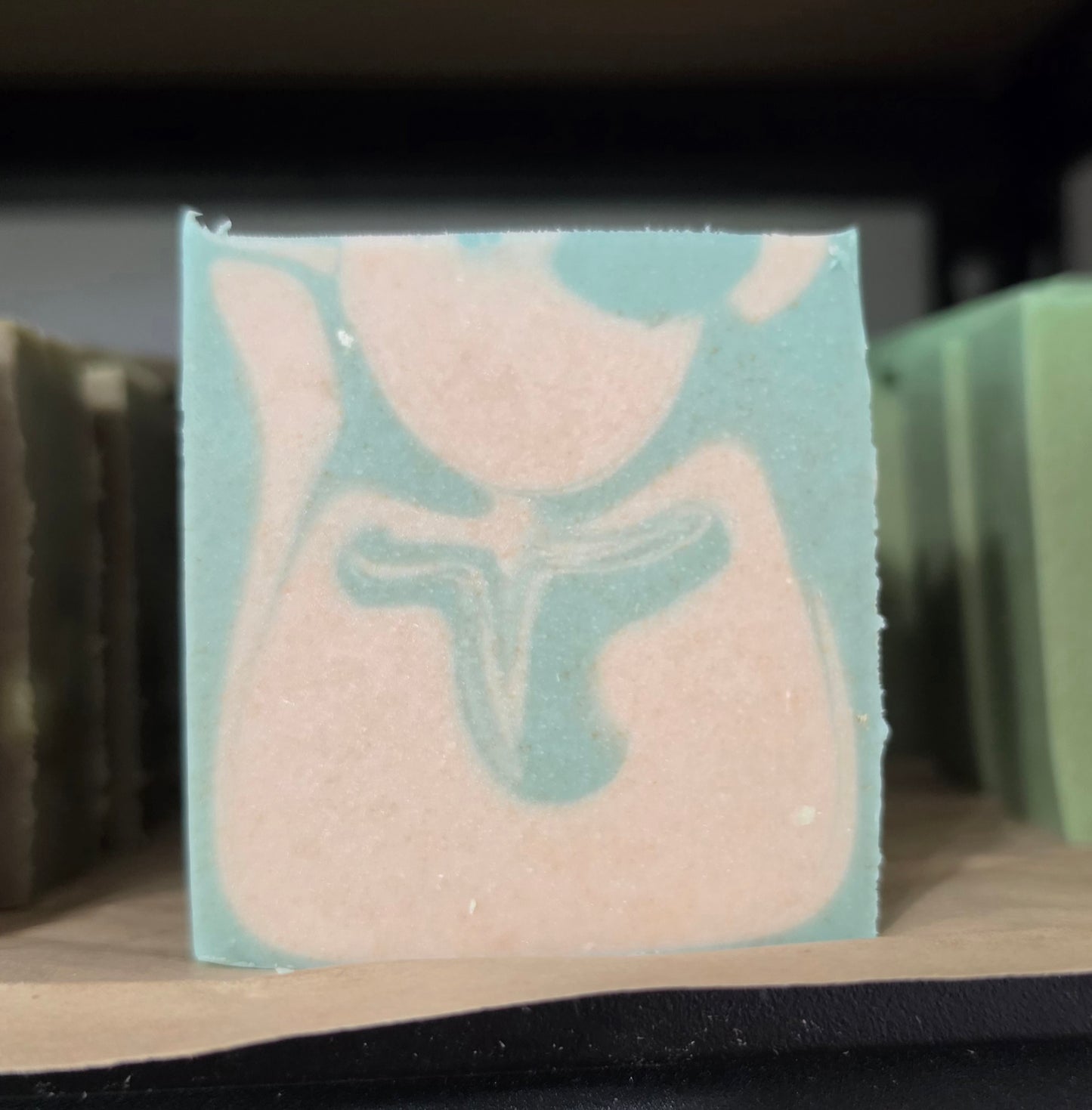 Chem Clean (Natural Bar Soap)