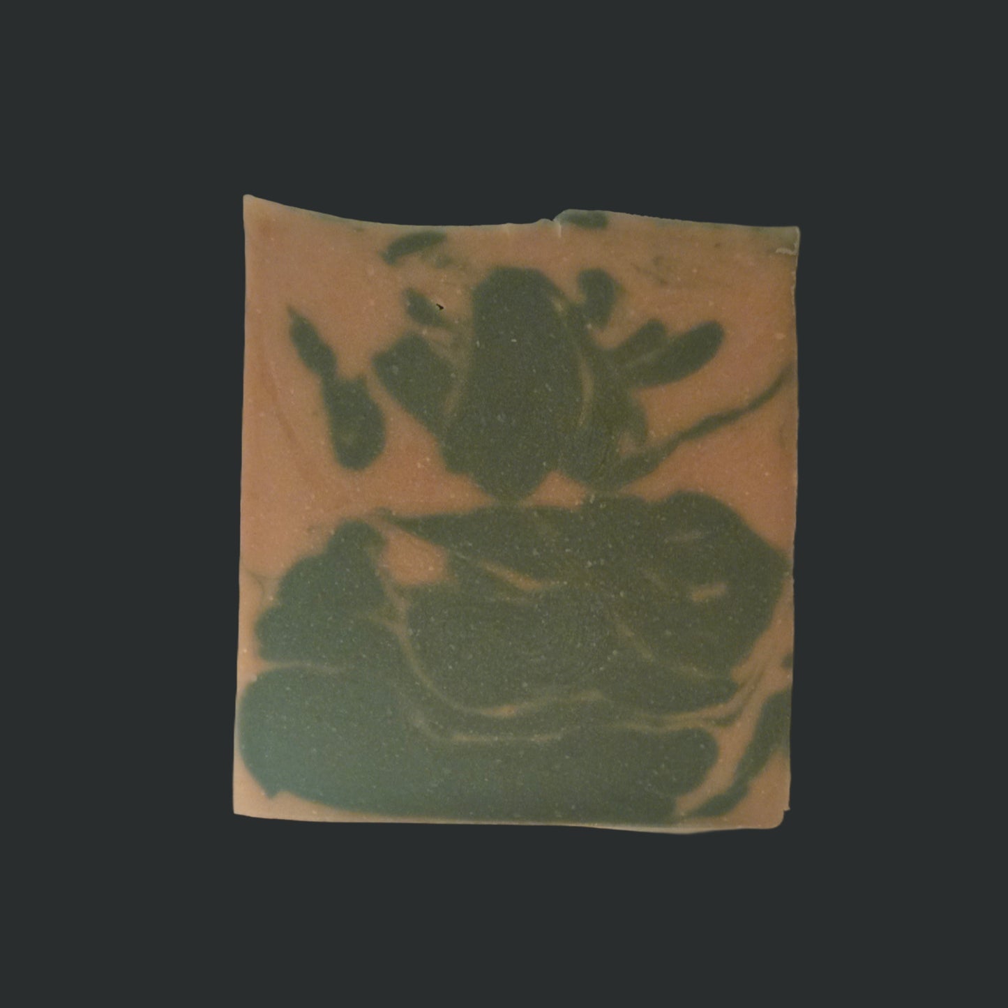 Damp Wood (Natural Bar Soap)